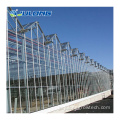 商業的なインテリジェントな水耕栽培ガラス温室